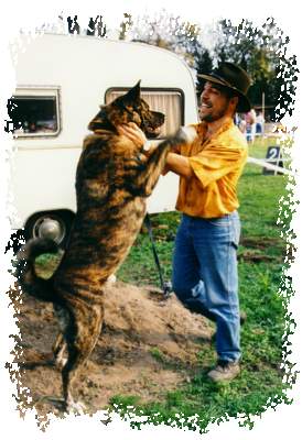 mein Chef und Tora (der Dicke)